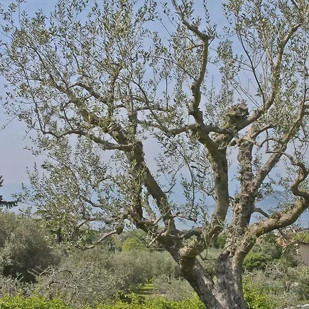 Lovely Elena - Garda Holiday home Bardolino