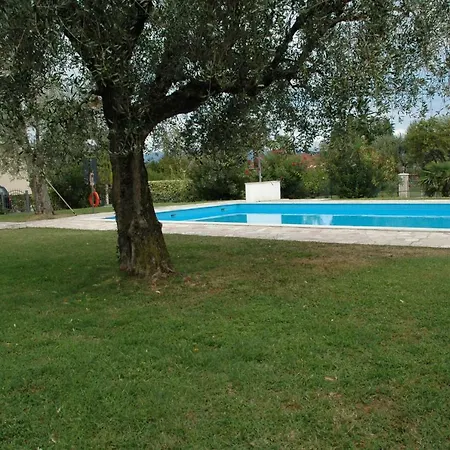Lovely Elena - Garda *