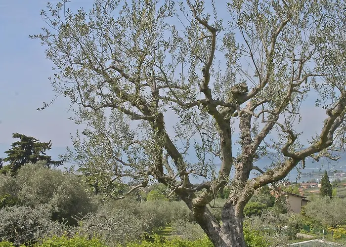 Lovely Elena - Garda Otel Bardolino